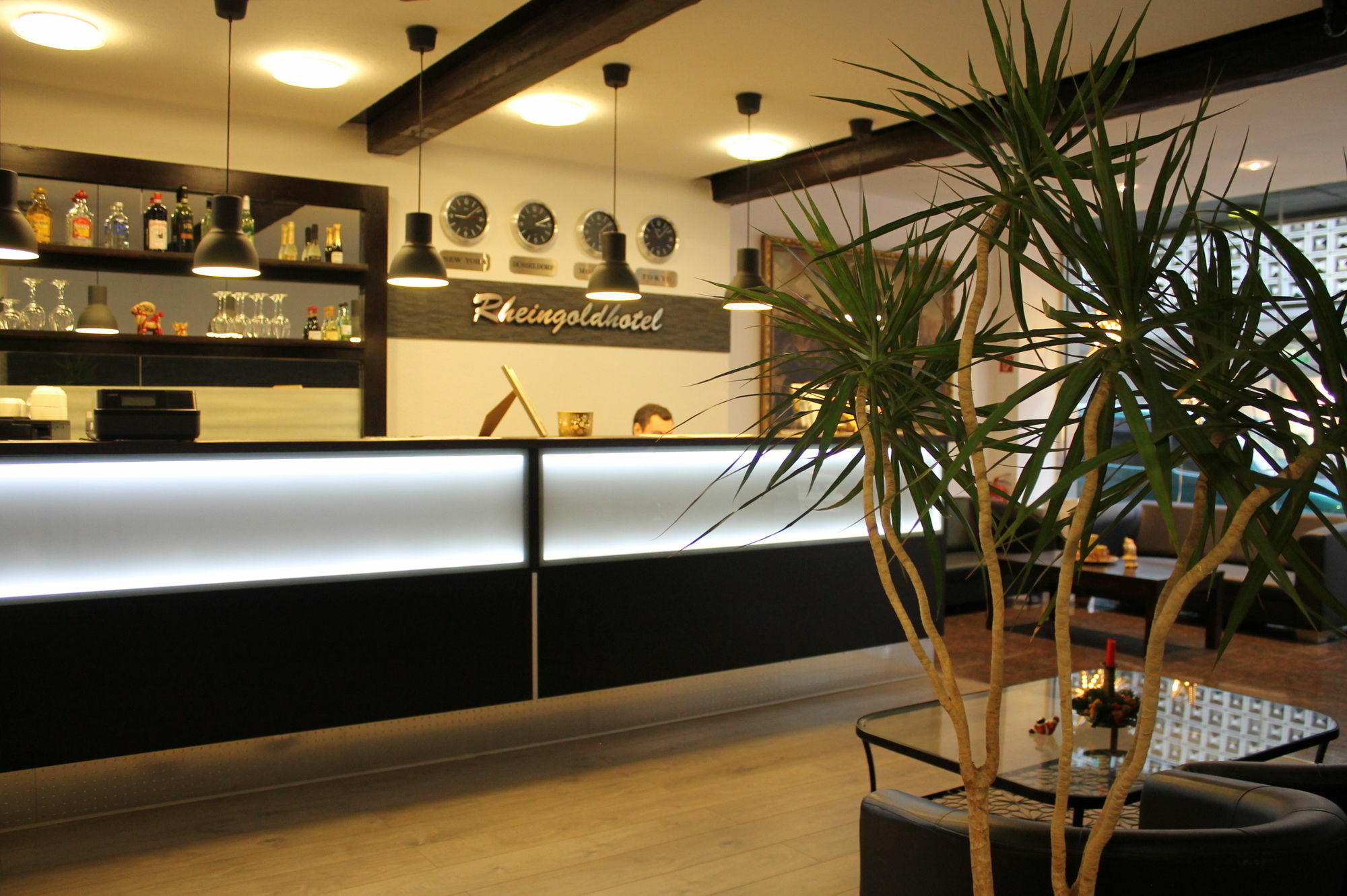 莱茵黄金酒店 杜塞尔多夫 外观 照片